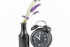 Lavender in dark vase with old alarm clock. Time passing concept, metaphor. On white background.