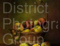 2023-2024 Open Print