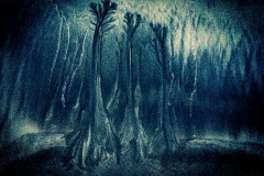 41_Beach-Trees