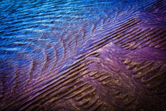 41_Light-Waves