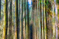 02_The-way-home