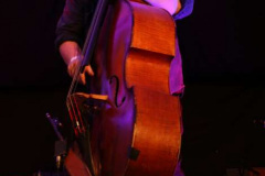 11_Bass-player