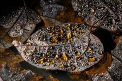 37_Rusty-water-Drops