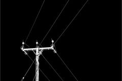 0003