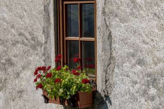 31_window-box