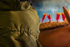 02_One-for-the-money-four-for-the-show