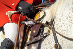 40_Hand-on-the-reins