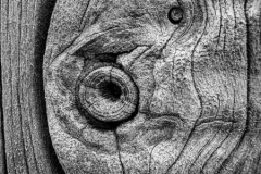 41_Weathered-Fence-post