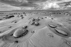 41_Patterns-of-the-Passing-Tide