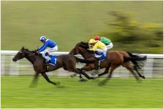 31_Gallop-to-the-finish