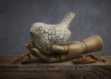 2025-2026 Open Print