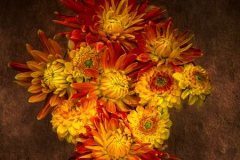 22_A-little-bit-of-autumn-sunshine