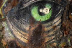 37_Eye-Rust